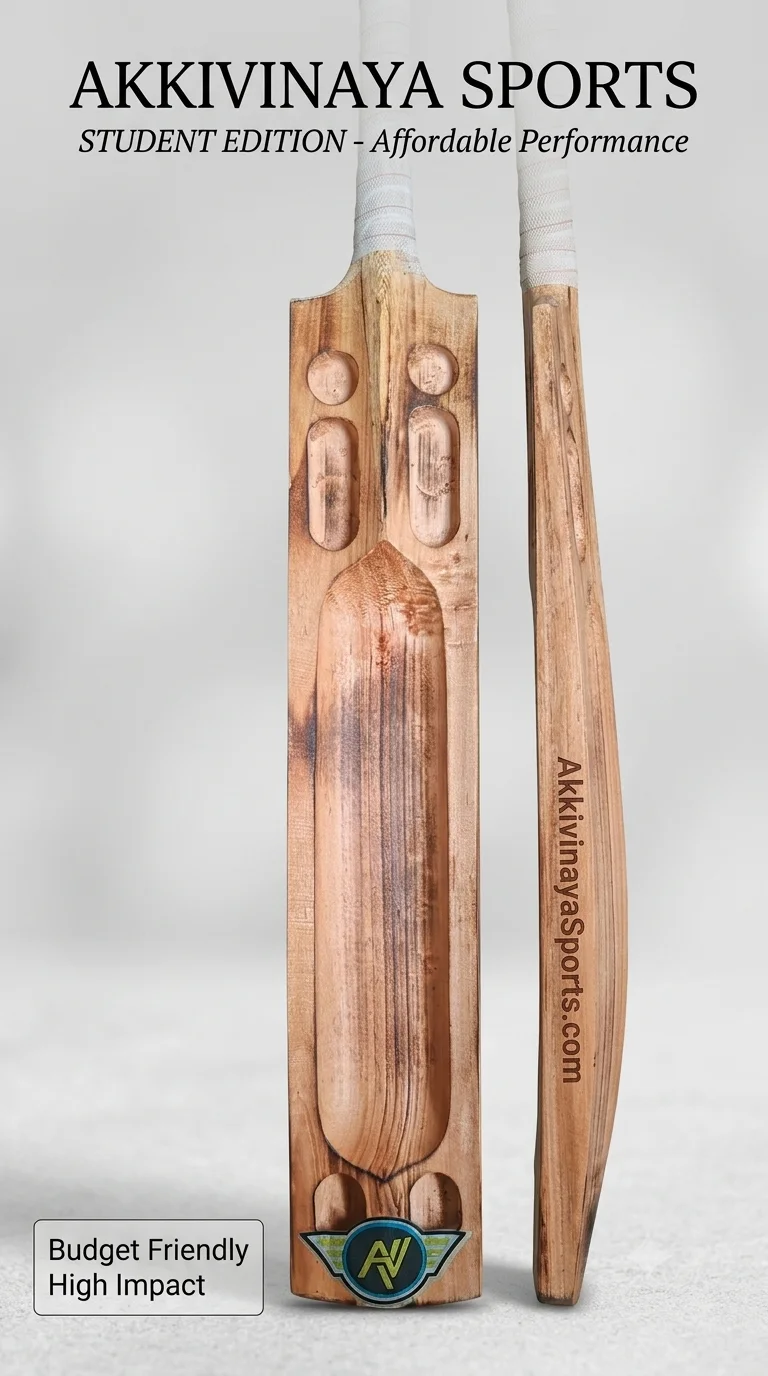 AV-Students Edition bat